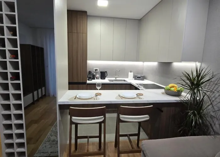 Skyline Free Parking * 노비사드