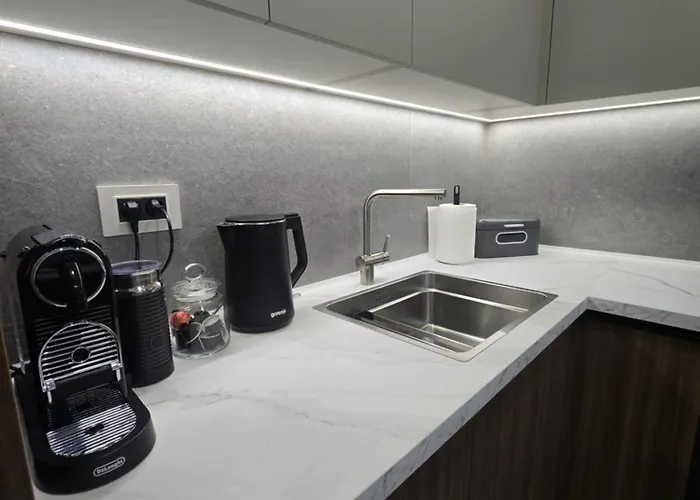 Skyline Free Parking 아파트 노비사드