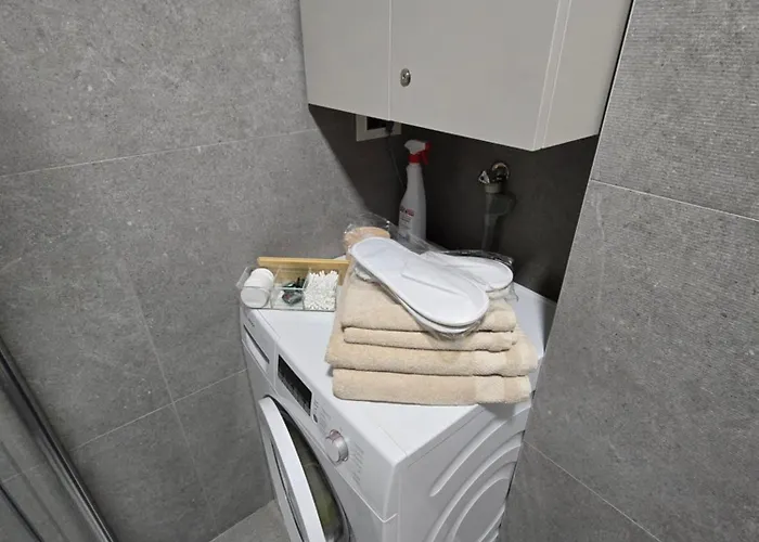 Skyline Free Parking 아파트 노비사드